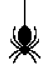 Datei:Small spider.png