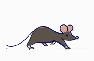 WC kitchenmouse Concept Mouse08.gif