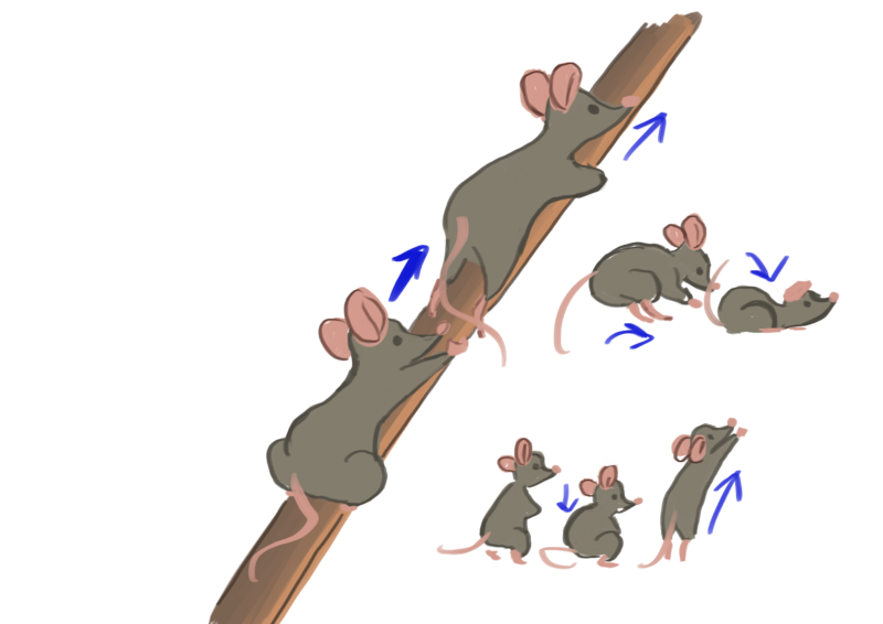Datei:WC kitchenmouse Concept Mouse09.png